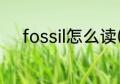 fossil怎么读(fossil fuel怎么读)