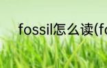 fossil怎么读(fossil fuel怎么读)