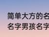 简单大方的名字男孩名字 简单大方的名字男孩名字推荐