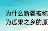 为什么新疆被称为瓜果之乡 新疆被称为瓜果之乡的原因