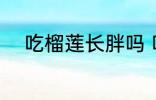 吃榴莲长胖吗 吃榴莲会不会长胖