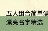 五人组合简单漂亮名字 五人组合简单漂亮名字精选