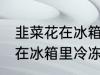 韭菜花在冰箱里冷冻能放多久 韭菜花在冰箱里冷冻可以放多长时间