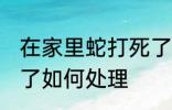 在家里蛇打死了怎么办 在家里蛇打死了如何处理