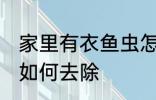 家里有衣鱼虫怎么去除 家里有衣鱼虫如何去除