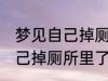 梦见自己掉厕所里了怎么回事 梦见自己掉厕所里了预兆什么