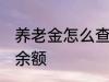 养老金怎么查询余额 养老金如何查询余额