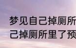 梦见自己掉厕所里了怎么回事 梦见自己掉厕所里了预兆什么