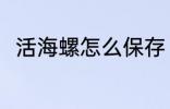 活海螺怎么保存 活海螺的保存方法