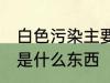 白色污染主要指的是什么 白色污染的是什么东西