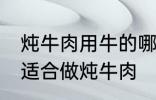 炖牛肉用牛的哪个部分 哪个位置的肉适合做炖牛肉