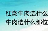 红烧牛肉选什么部位的牛肉 制作红烧牛肉选什么部位的牛肉