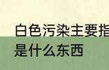 白色污染主要指的是什么 白色污染的是什么东西