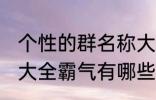 个性的群名称大全霸气 个性的群名称大全霸气有哪些