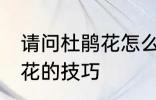 请问杜鹃花怎么养不爱死啊 养殖杜鹃花的技巧