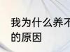 我为什么养不活杜鹃花 养不活杜鹃花的原因