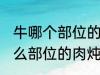 牛哪个部位的肉炖的牛肉汤好喝 牛什么部位的肉炖的牛肉汤好喝