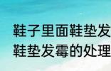 鞋子里面鞋垫发霉怎么处理 鞋子里面鞋垫发霉的处理方法